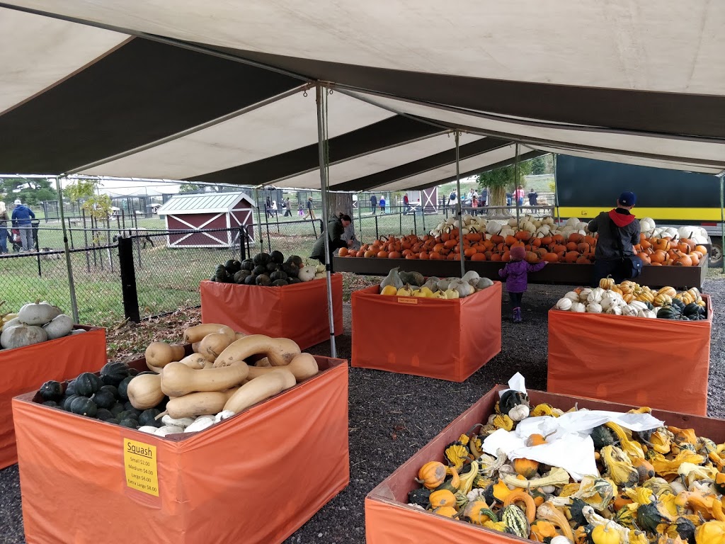 Chappell Farms | 617 Penetanguishene Rd, Barrie, ON L4M 4Y8, Canada | Phone: (705) 721-1547