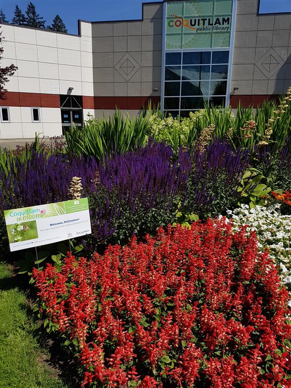 Poirier Branch, Coquitlam Public Library | 575 Poirier St, Coquitlam, BC V3J 6A9, Canada | Phone: (604) 554-7323