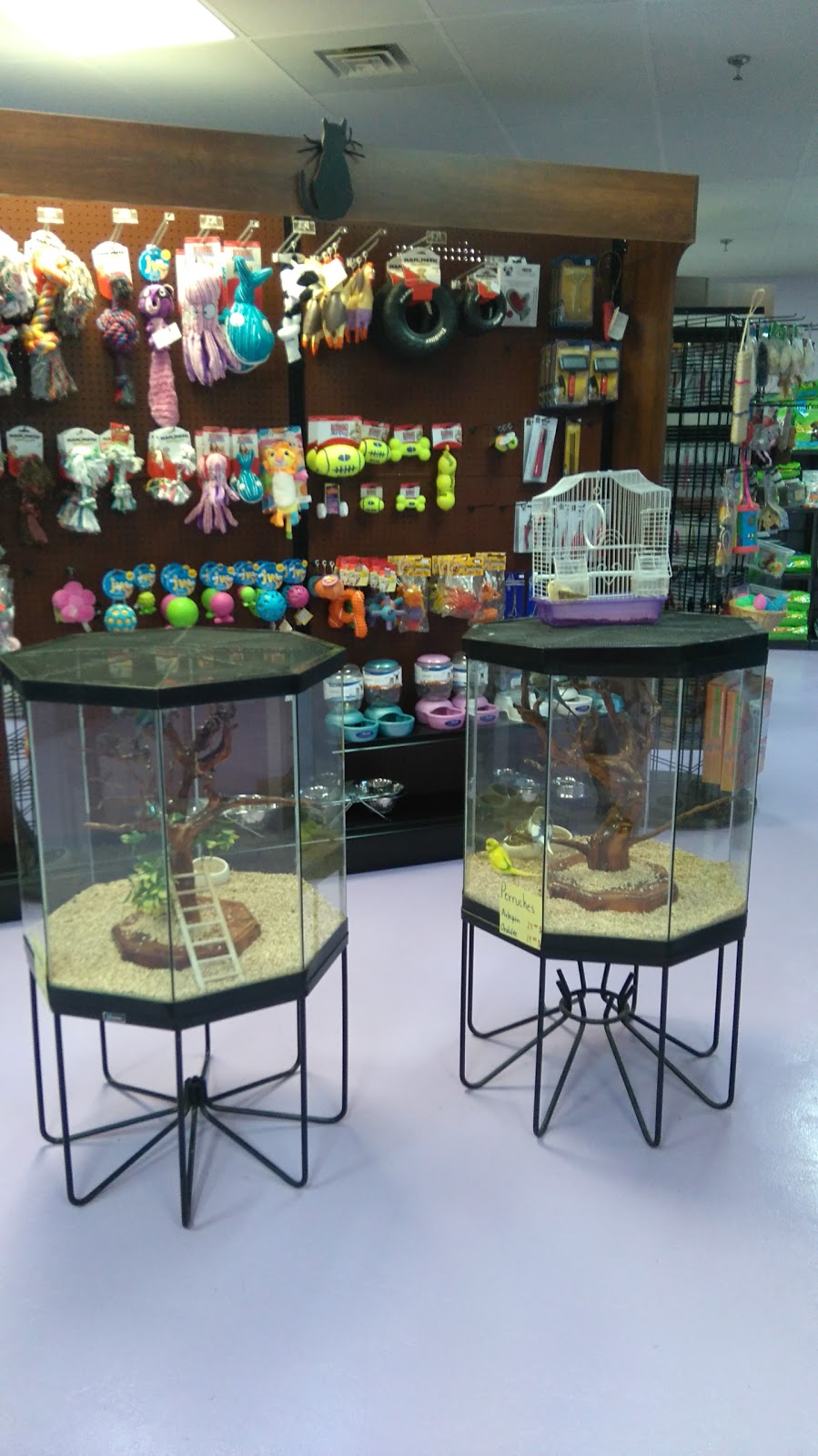 Petits Poilus | 277 Montée des Pionniers, Terrebonne, QC J6V 1H4, Canada | Phone: (450) 932-6555