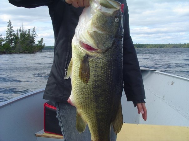 Pickerel Bay | 366 Pickeral Bay, White Lake, ON K0A 3L0, Canada | Phone: (613) 623-3344