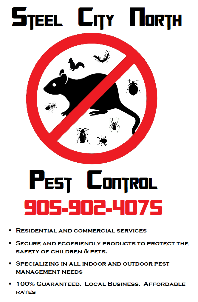 SCN Pest & Rodent Control, Hamilton ON | 1121 Cooke Blvd #89, Burlington, ON L7T 0C4, Canada | Phone: (905) 902-4075