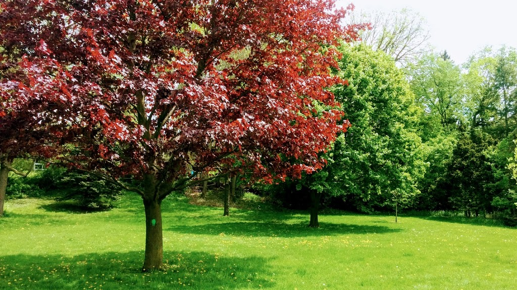 Birkdale Community Centre | 1299 Ellesmere Rd, Scarborough, ON M1P 2Y2, Canada | Phone: (416) 396-4069