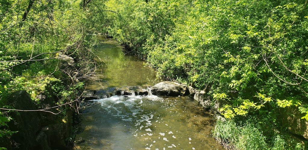 Thornlodge Park | 2405 Homelands Dr, Mississauga, ON L5K 1H3, Canada | Phone: (905) 615-4311