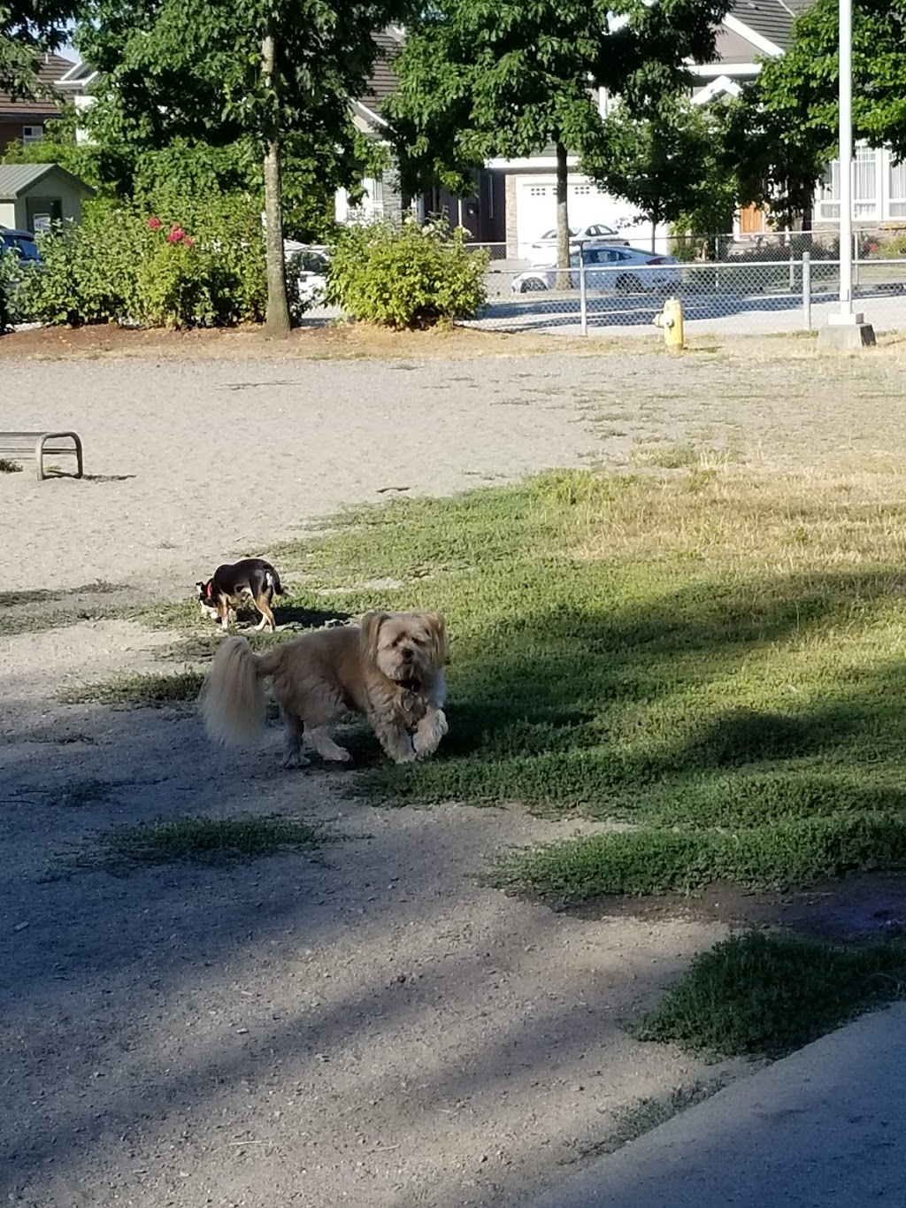 Freedom Dog Park | 8398 154a St #8382, Surrey, BC V3S 4P1, Canada | Phone: (604) 501-5050