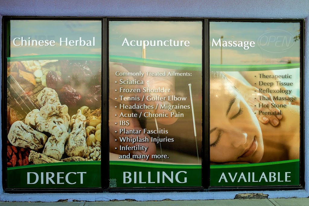 Flying Turtle Acupuncture & Massage | 6828 50 Ave #3, Red Deer, AB T4N 4E3, Canada | Phone: (403) 343-1539