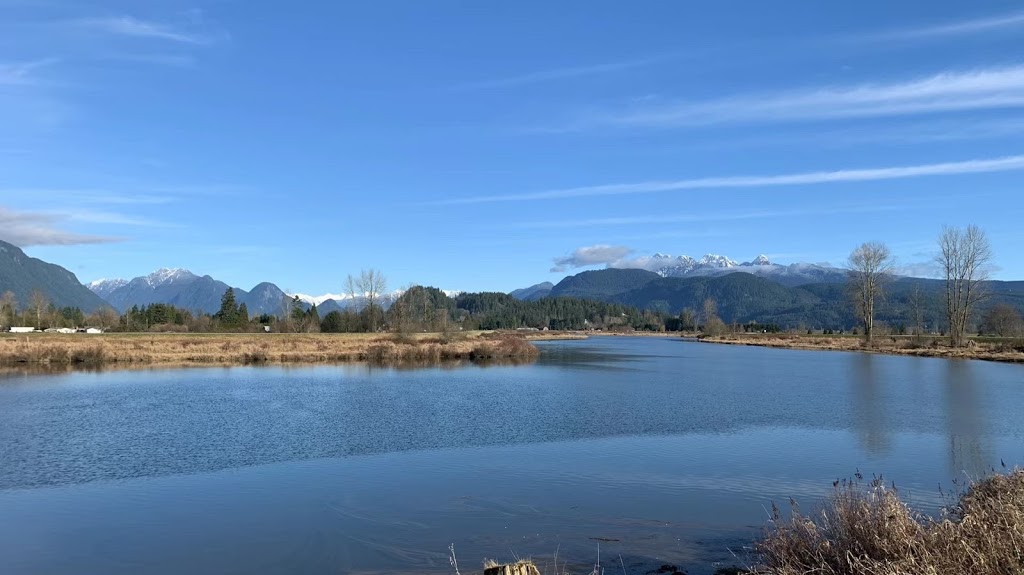 Pitt Meadows Paddling Club | 14411 Harris Rd, Pitt Meadows, BC V3Y 2T2, Canada | Phone: (778) 847-7672