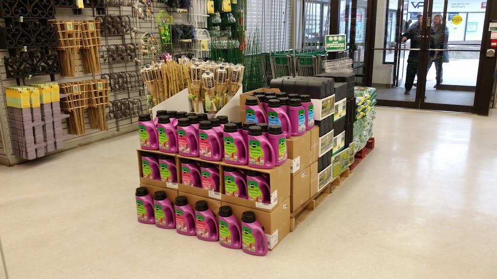Dollarama | 235 Guelph St, Georgetown, ON L7G 4A8, Canada | Phone: (905) 873-0379