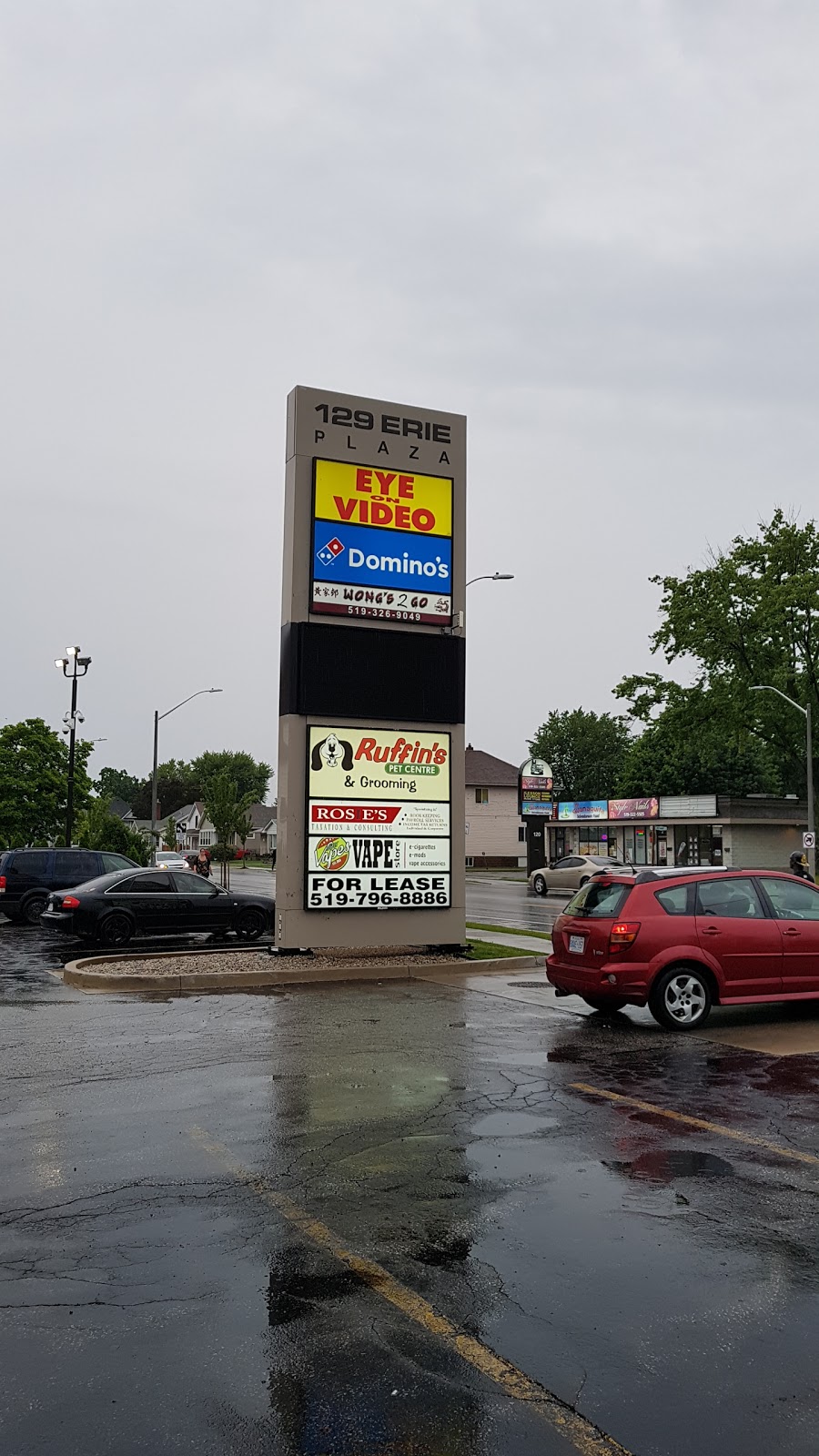 Wongs 2 Go | 129 Erie St S, Leamington, ON N8H 3B5, Canada | Phone: (519) 326-9049