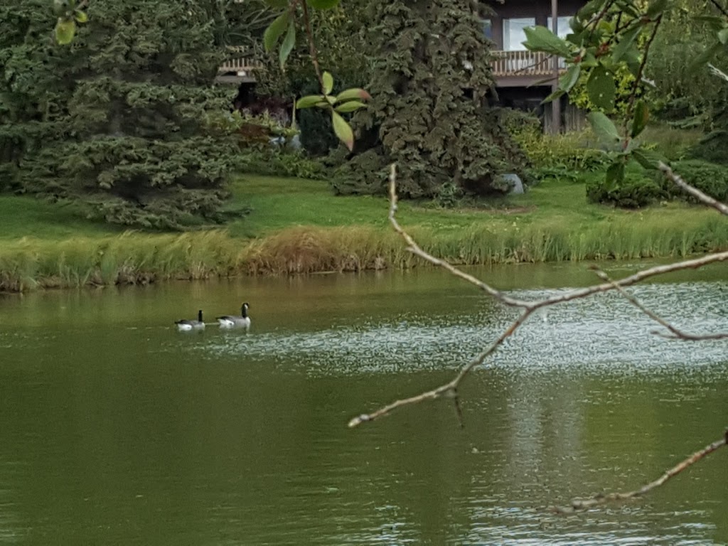 Tomas Opalinski Park | 1103 109 St NW, Edmonton, AB T6J 5X9, Canada