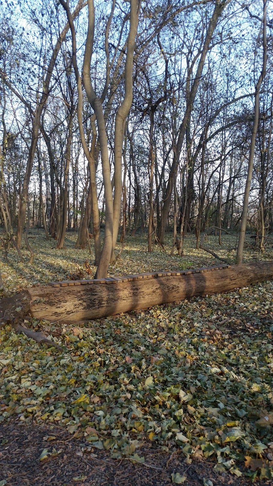 Malcolmson Eco Park | 325 Lakeshore Rd, St. Catharines, ON L2M 7Z3, Canada