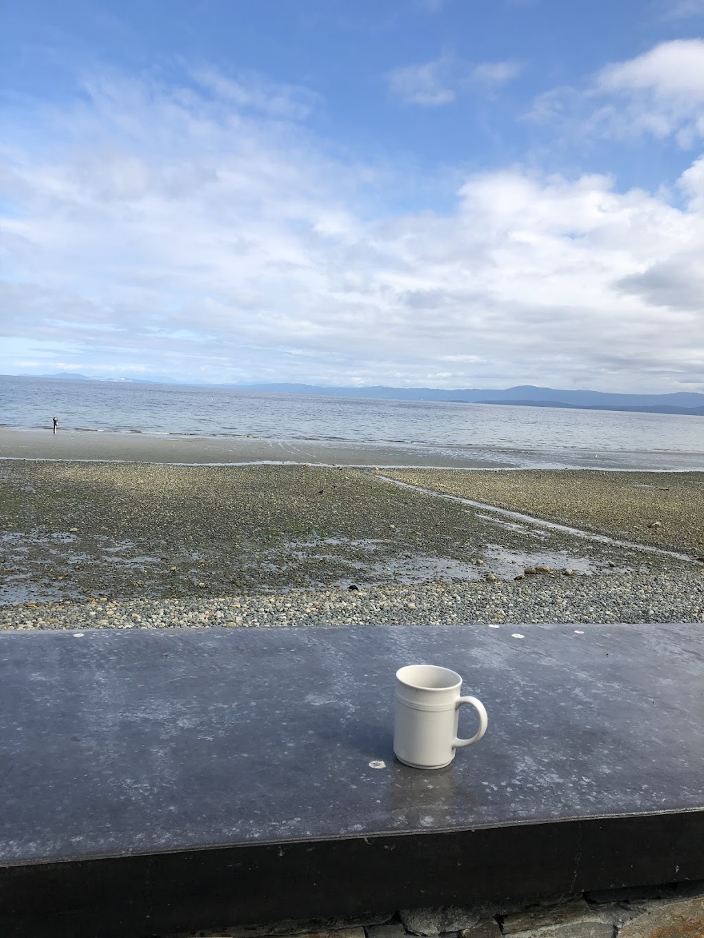 Qualicum Beach Ocean Suites | 2795 Island Hwy W, Qualicum Beach, BC V9K 2C4, Canada | Phone: (250) 752-6914
