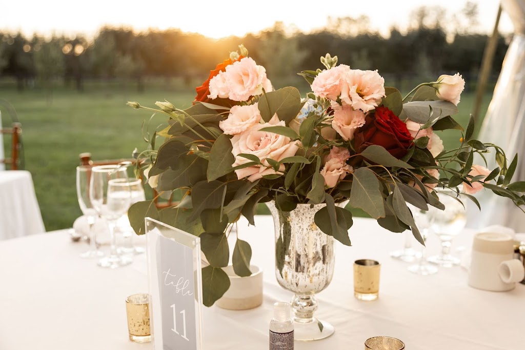 Dream Weaver Events | 36 Balvenie Blvd, Caledonia, ON N3W 2P1, Canada | Phone: (416) 909-0561