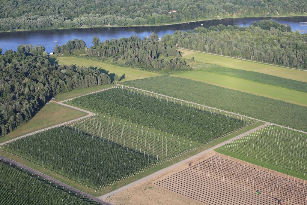 Houblon des Jarrets Noirs - Biergarten | 488 Rte du Bord de lEau, Saint-Bernard, QC G0S 2G0, Canada | Phone: (418) 801-7544