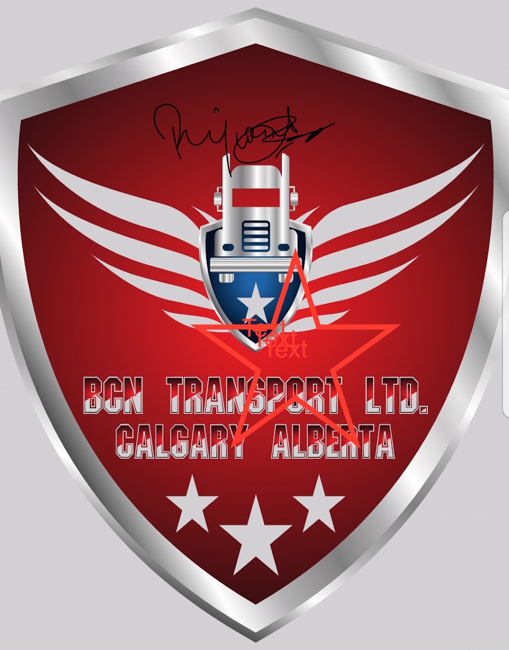 BCN TRANSPORT LTD | 2446 Baysprings Link SW, Airdrie, AB T4B 3V8, Canada | Phone: (403) 437-7879