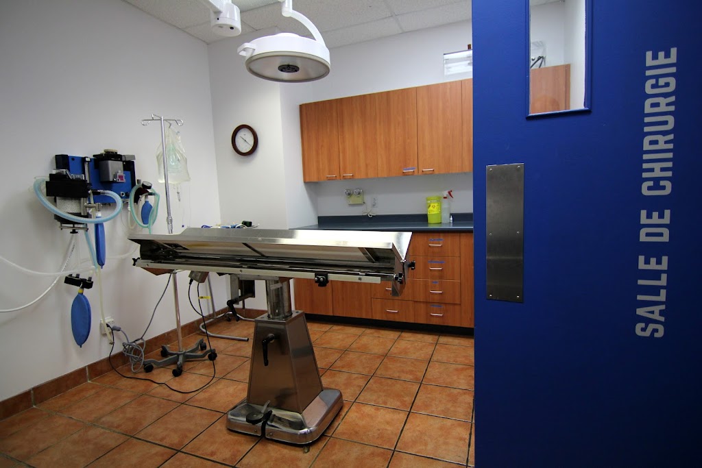 Hôpital Vétérinaire Carcajou | 215 Av. du Pont S, Alma, QC G8B 2T7, Canada | Phone: (418) 669-2222