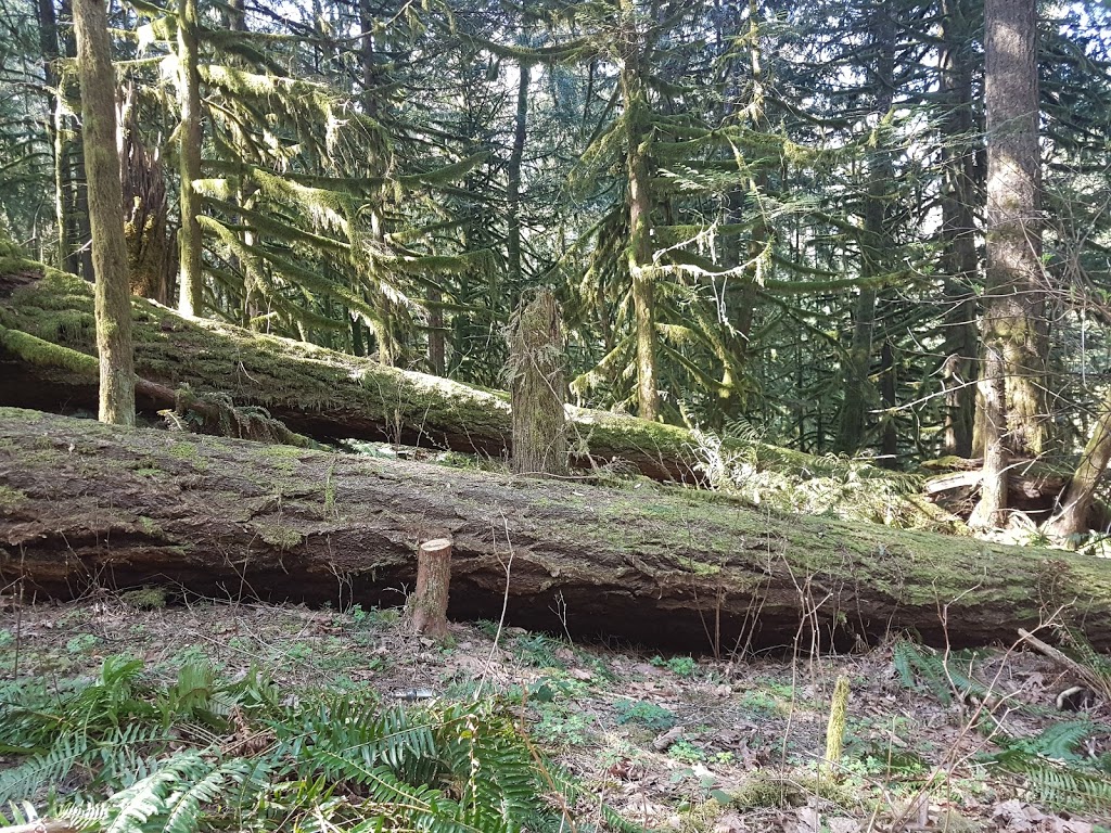 Cultus Lake Provincial Park | 3179 Columbia Valley Hwy, Cultus Lake, BC V2R 5A3, Canada