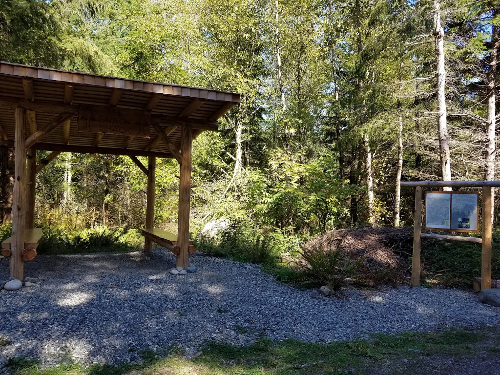 Galbraith Mountain | Tower Rd, Bellingham, WA 98229, USA | Phone: (360) 778-7000