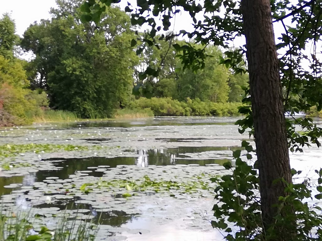Bain Park | 327 Dundas St E, Trenton, ON K8V 5W5, Canada | Phone: (613) 392-2841 ext. 4433