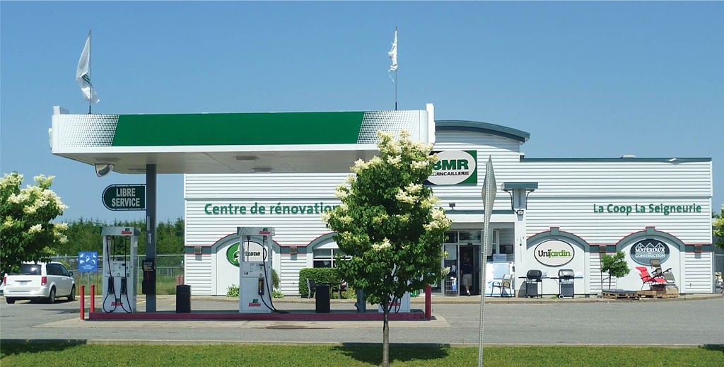 BMR Avantis - Ste-Agathe-de-Lotbinière | 119 Rue Saint Georges, Sainte-Agathe-de-Lotbinière, QC G0S 2A0, Canada | Phone: (418) 599-2512