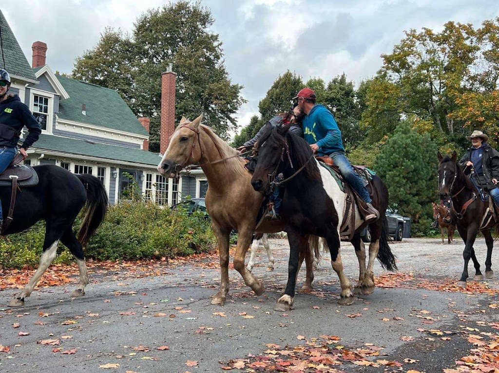 CorLie Equine Adventures and Events | 250 Route 715, Coles Island, NB E4C 2T4, Canada | Phone: (506) 512-1216