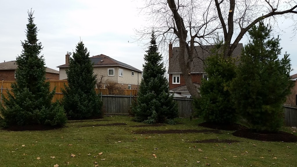 Stevens Large Tree Sales | 6556 Bethesda Rd, Whitchurch-Stouffville, ON L4A 3A7, Canada | Phone: (905) 642-2758
