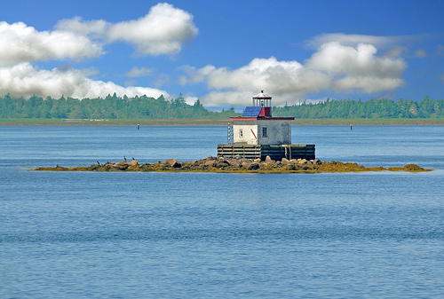 Haddock Shack | 6435 Nova Scotia Trunk 3, Lower Woods Harbour, NS B0W 2E0, Canada | Phone: (902) 723-2400