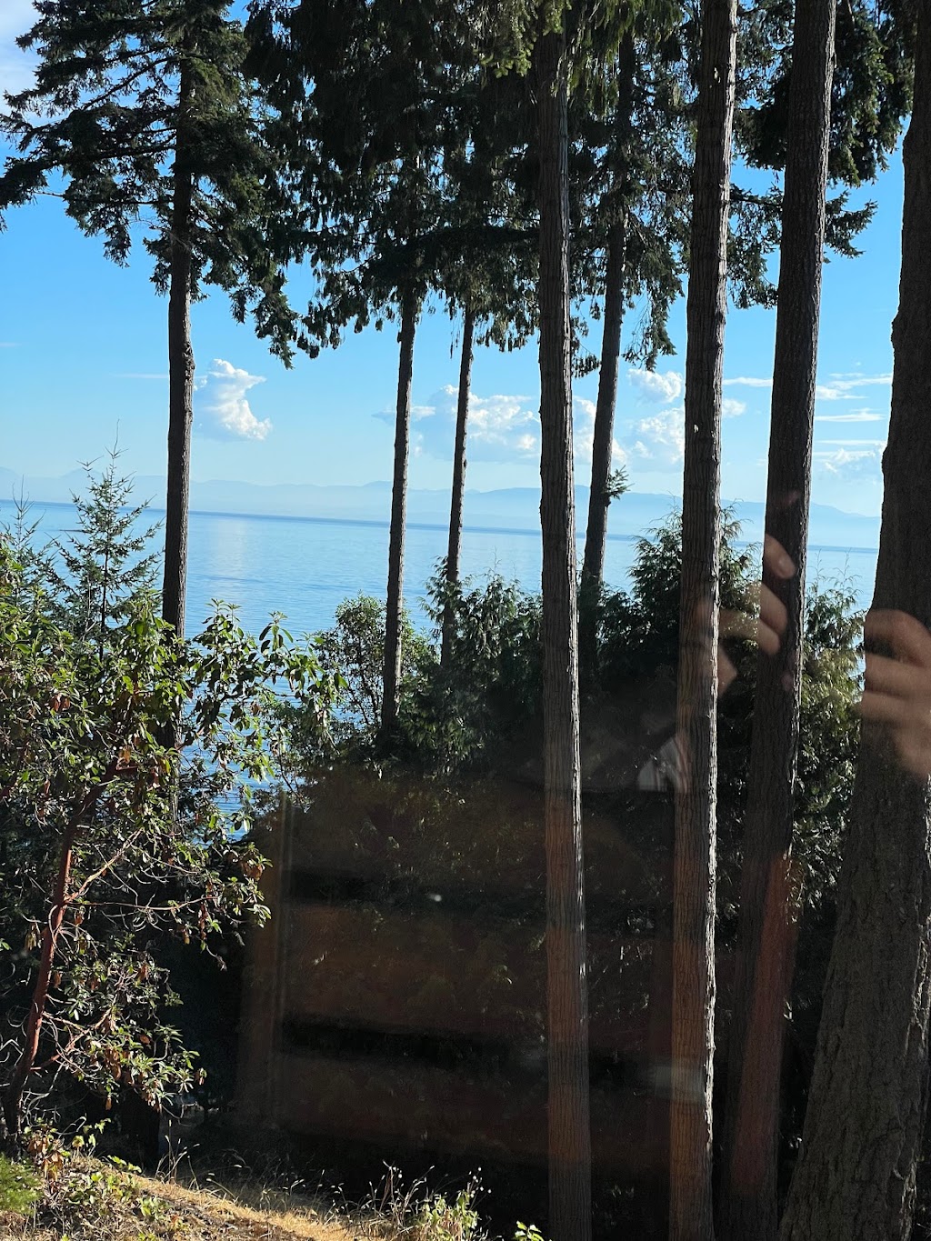 Sunshine Coast Treetop B&B | 6840 Sunshine Coast Hwy, Sechelt, BC V0N 3A8, Canada | Phone: (778) 458-2258