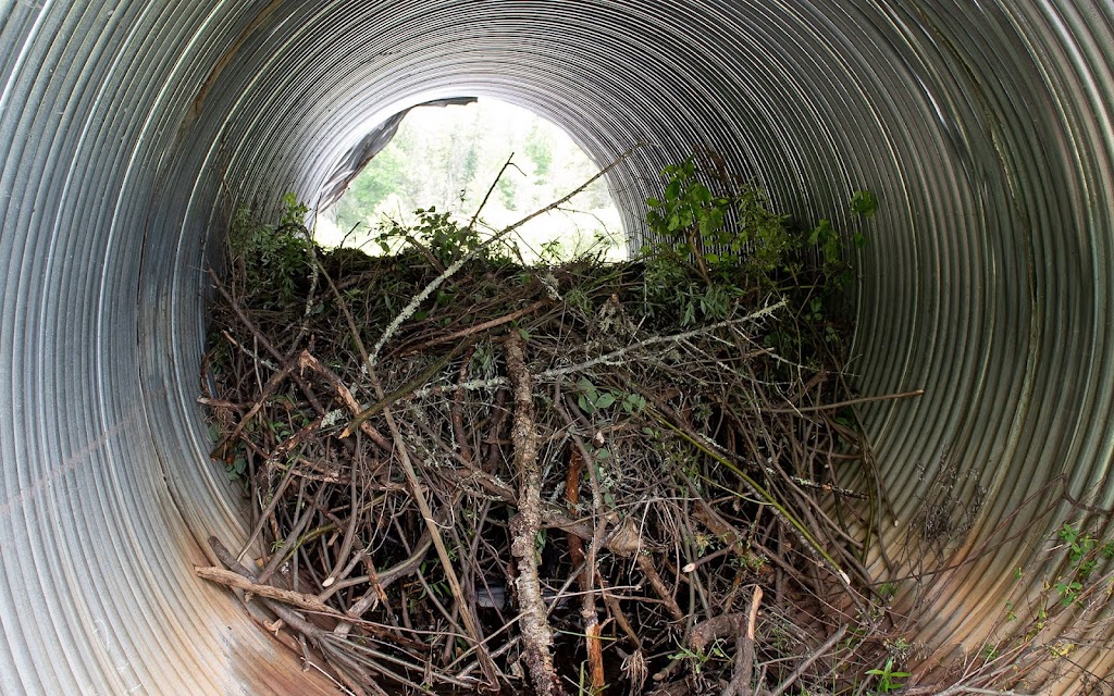 Malcolms Creek Beaver Management | 142 Oakland Rd, Oakland, ON N0E 1L0, Canada | Phone: (519) 755-4698