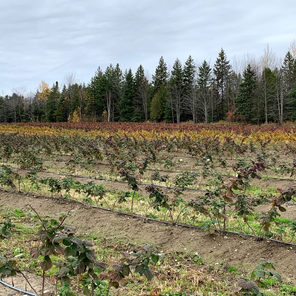 Ferme St-Élie | 2073 Chemin Dion, Sherbrooke, QC J1R 0R8, Canada | Phone: (819) 829-3917