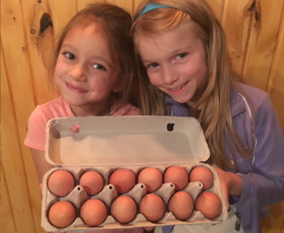 Dalew Farms | 10781 ON-64, Lavigne, ON P0H 1R0, Canada | Phone: (705) 594-1823