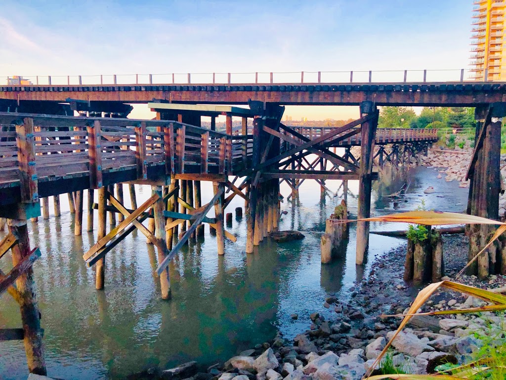 VIRZAZ & Co. Design | 202 Salter St #120, New Westminster, BC V3M 0E6, Canada | Phone: (778) 814-2123
