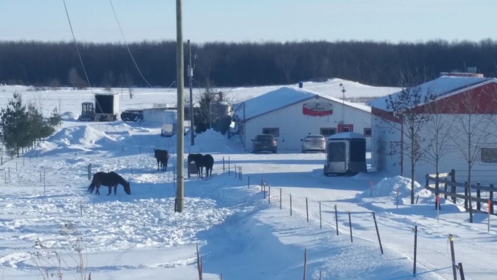 Habitations Paul Marineau | 19001 Chemin du Grand St Charles, Mirabel, QC J7N 2E8, Canada | Phone: (450) 818-6963
