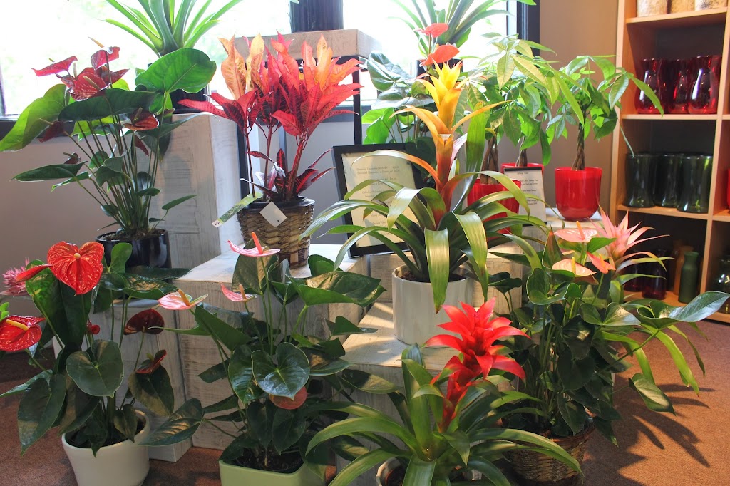 Arts Flowers Ltd. | 974 St Marys Rd, Winnipeg, MB R2M 3S1, Canada | Phone: (204) 253-0961