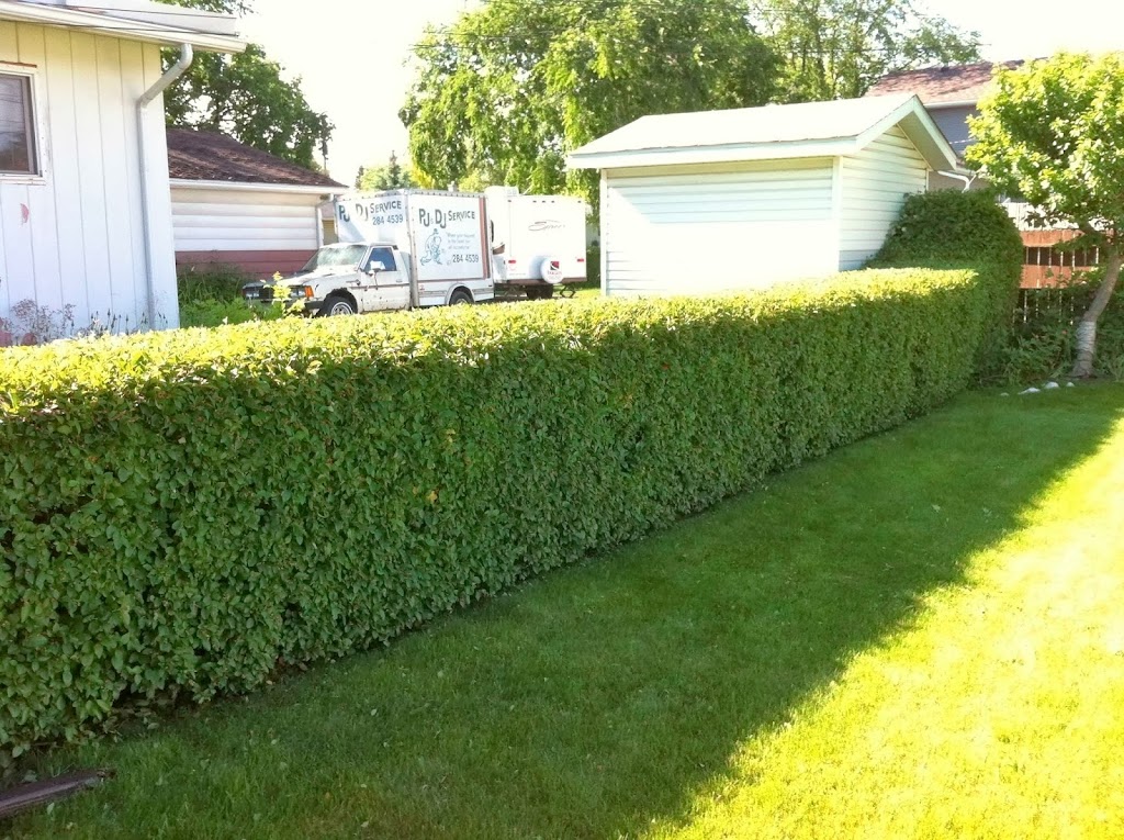 Green with Envy Lawn and Garden Care Ltd | 378 Sagewood Dr SW, Airdrie, AB T4B 3N2, Canada | Phone: (587) 360-3689
