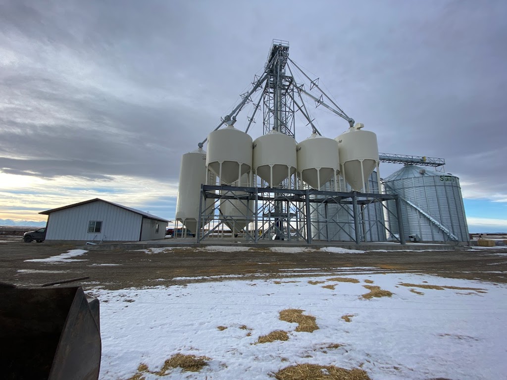 Thompson Colony Feedlot | Willow Creek No. 26, AB T0K 2R0, Canada | Phone: (403) 359-3447