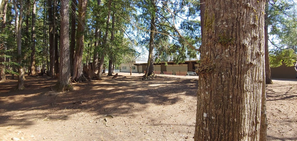 École Puntledge Park Elementary School | 401 Willemar Ave, Courtenay, BC V9N 3L3, Canada | Phone: (250) 334-4495