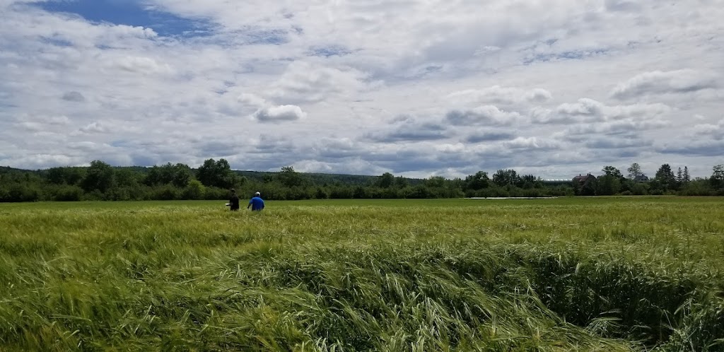 Truro Agromart Limited | 547 Onslow Rd, Upper Onslow, NS B6L 5L3, Canada | Phone: (902) 895-2857