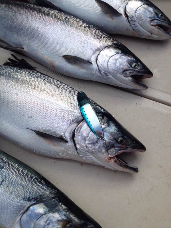 Fishing With Seafour Lures | 11 Cranston St, Arnprior, ON K7S 3S1, Canada | Phone: (613) 623-8415