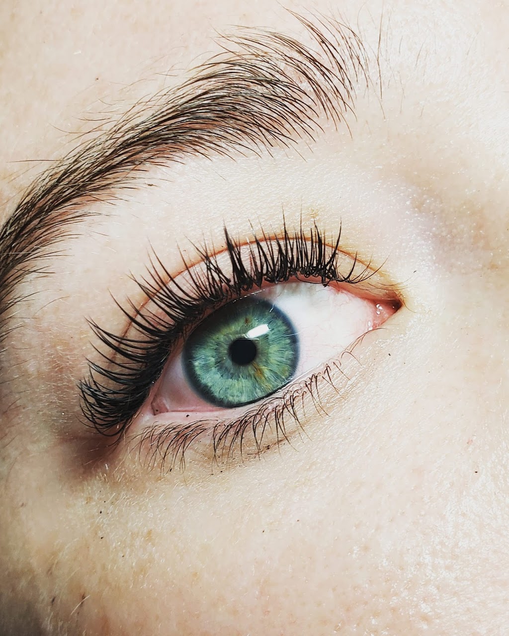Lash & Sass | 5222 130 Ave SE, Calgary, AB T2Z 0G4, Canada | Phone: (403) 879-2993