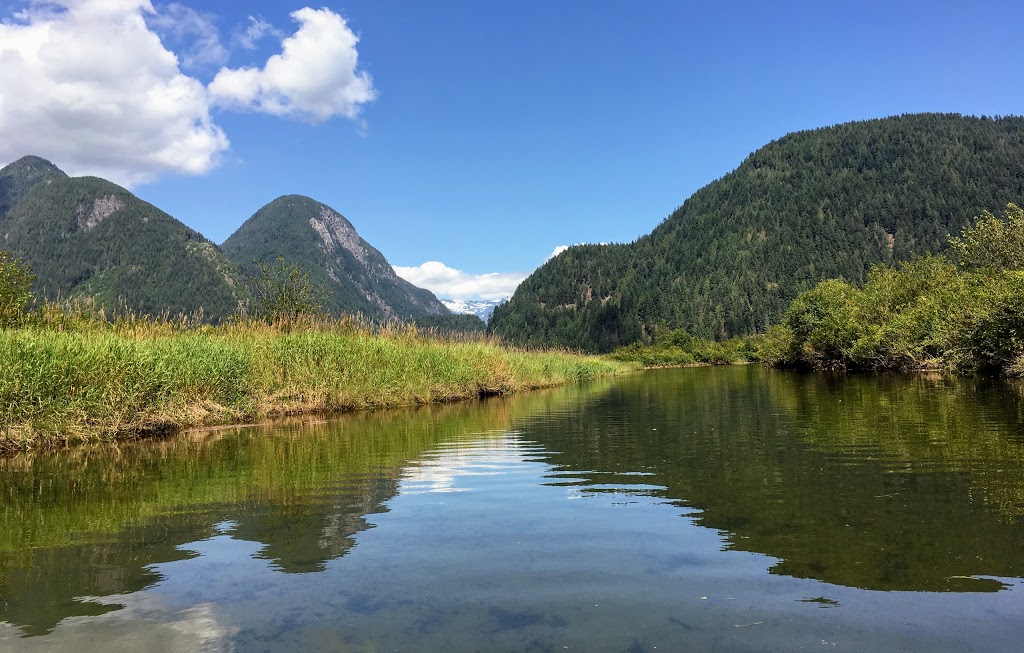 Widgeon Valley National Wildlife Area | Greater Vancouver A, BC, Canada