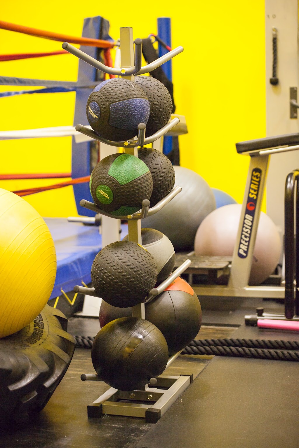 OBFT: Oakville Boxing & Functional Training | 1055 North Service Rd E, Oakville, ON L6H 1A6, Canada | Phone: (289) 400-3269
