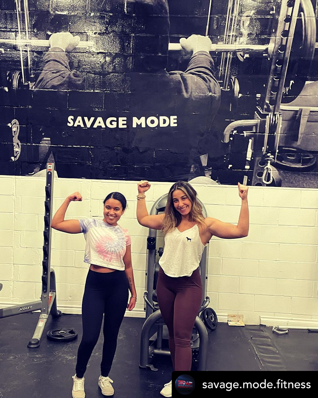 Savage Mode Fitness | 203 Colonnade Rd, Nepean, ON K2G 0B2, Canada | Phone: (613) 879-1192