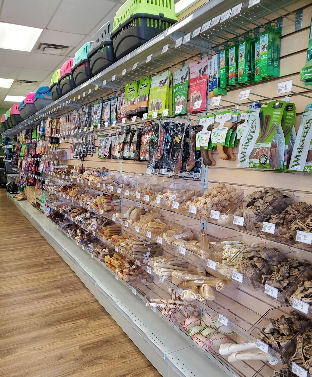 Pattes et Griffes | 1451 Av Victoria, Saint-Lambert, QC J4R 1R5, Canada | Phone: (450) 486-6286