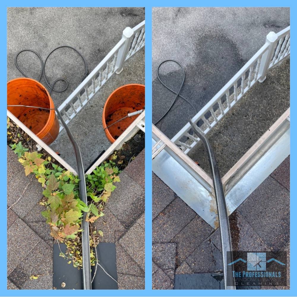 The Professionals Window and Eaves Cleaning Ltd. | 1108 - 250 Consumers Rd Mailbox: #166, North York, ON M2J 4V6, Canada | Phone: (416) 464-5542