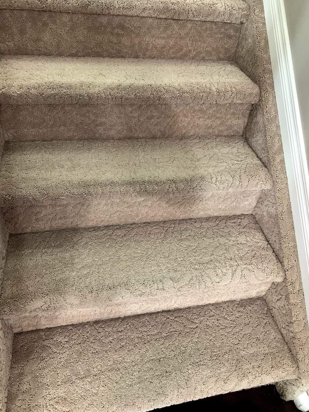 Power Carpet Cleaning | Twin Brooks, Edmonton, AB T6J 5A7, Canada | Phone: (780) 399-5578