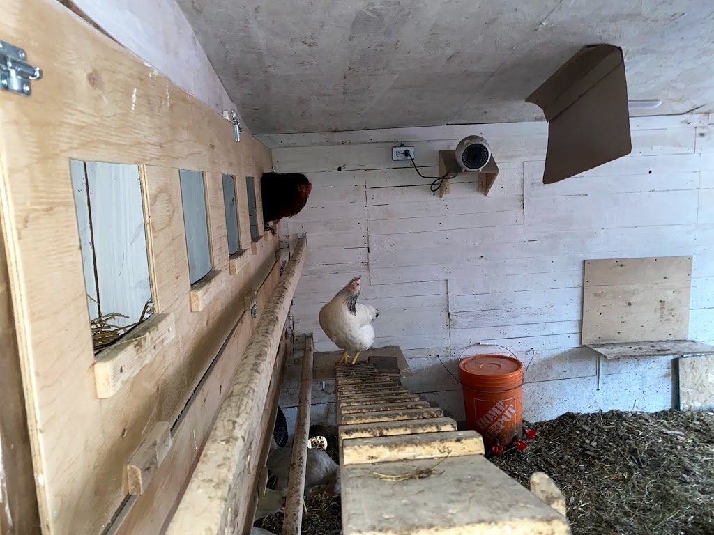 Happy Farm Milton | 4316 Derry Rd, Burlington, ON L7M 0R5, Canada | Phone: (647) 868-1906