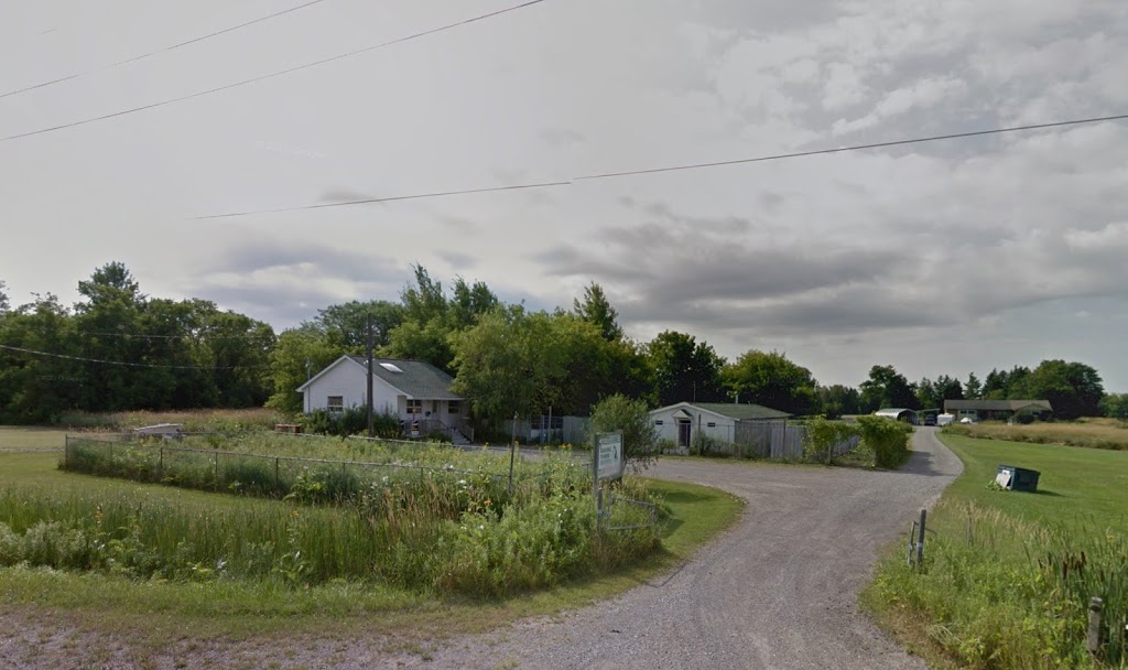 K9 Kollege, Kennels and Cattery | 119 Locust Hill Ln, Locust Hill, ON L0H 1J0, Canada | Phone: (905) 294-1124
