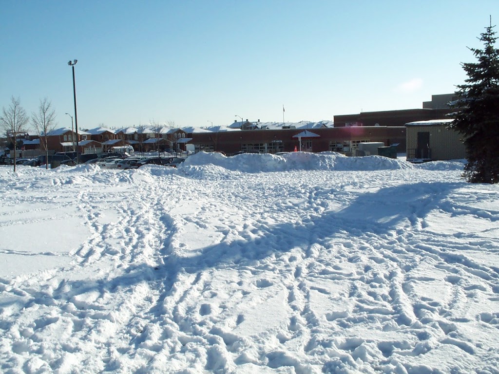 Fleming Public School | 20 Littles Rd, Scarborough, ON M1B 5B5, Canada | Phone: (416) 396-6862