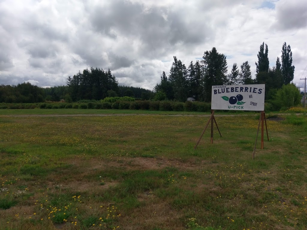 Hannah Blueberries | 7892 Enterprise Rd, Ferndale, WA 98248, USA | Phone: (360) 366-1070