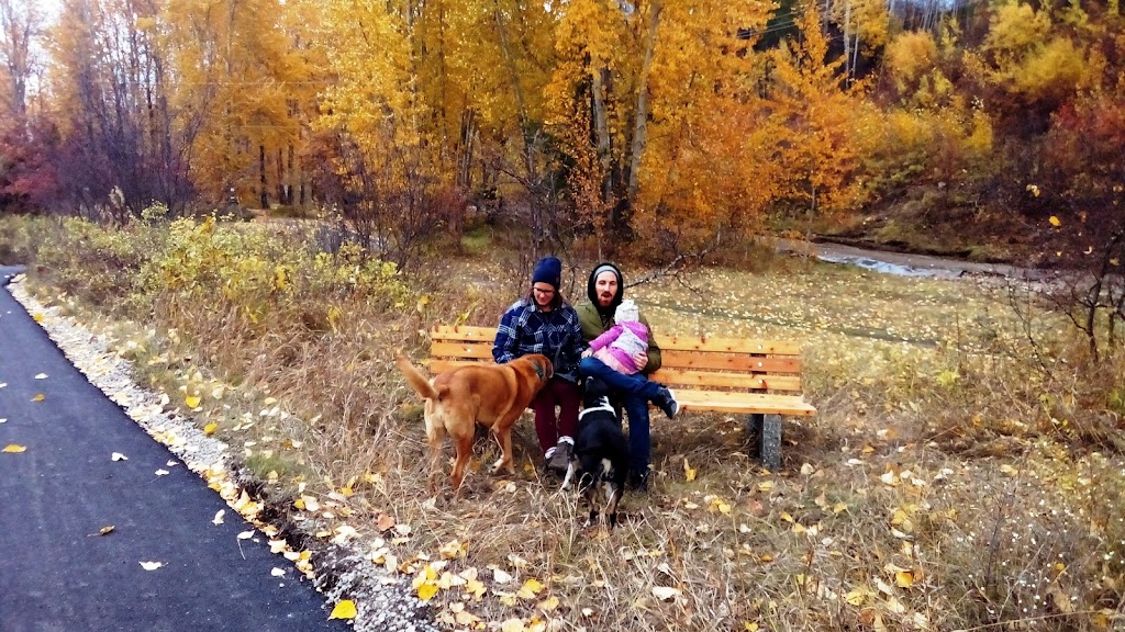 Railyard Dog Park | 95 Ridgemont Ave, Fernie, BC V0B 1M0, Canada | Phone: (778) 509-0701